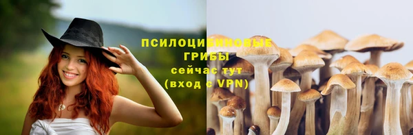 хмурый Балахна