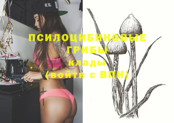 хмурый Балахна