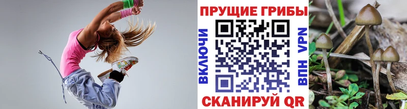 Галлюциногенные грибы Magic Shrooms даркнет сайт Снежногорск
